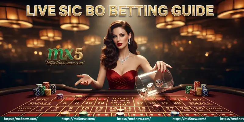 live-sic-bo-betting-guide