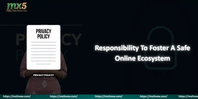 Responsibility To Foster A Safe Online Ecosystem